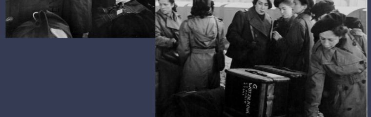 Mázhauz plzeňské radnice hostí výstavu o ošetřovatelkách ve Velké Británii v letech 1939 až 1945